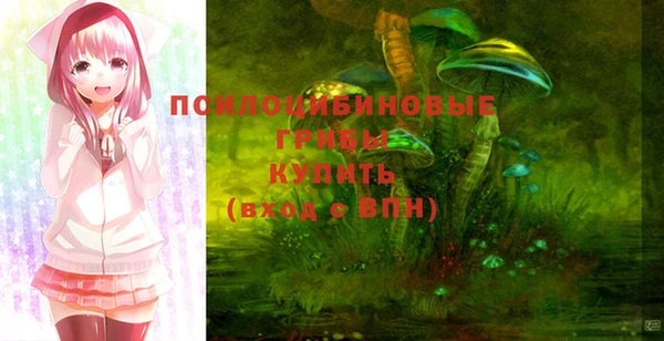 соль ск Каменногорск
