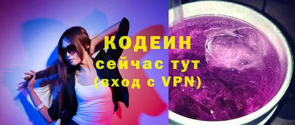 соль ск Каменногорск