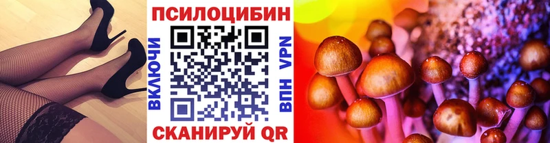 Галлюциногенные грибы MAGIC MUSHROOMS  Купить где  Гатчина 